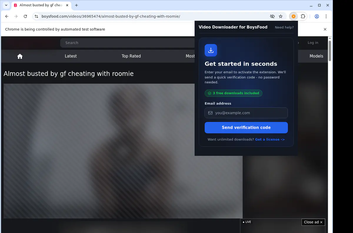 Boysfood Video Downloader browser extension screenshot 5